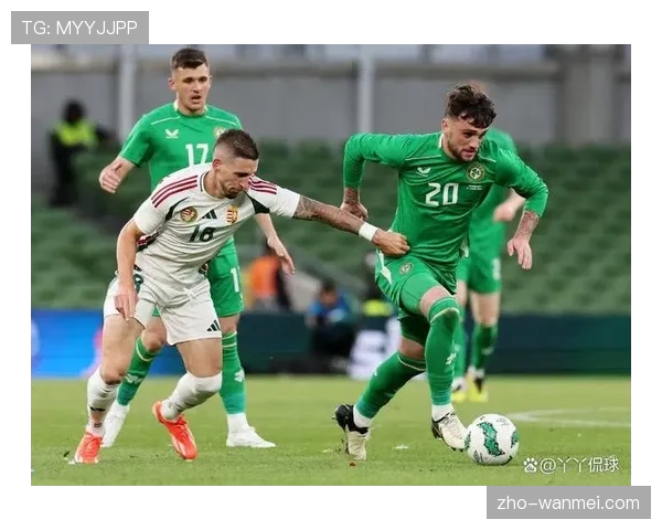 爱尔兰战胜匈牙利 逆转获得小组第二晋级附加赛